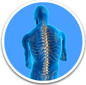  Spine Surgery - Orthopaedic Surgical Specialist